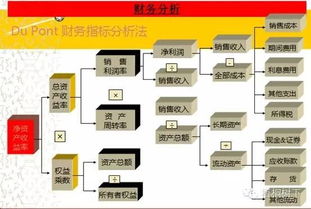 实操分享 关于财务分析的超级深度全解析