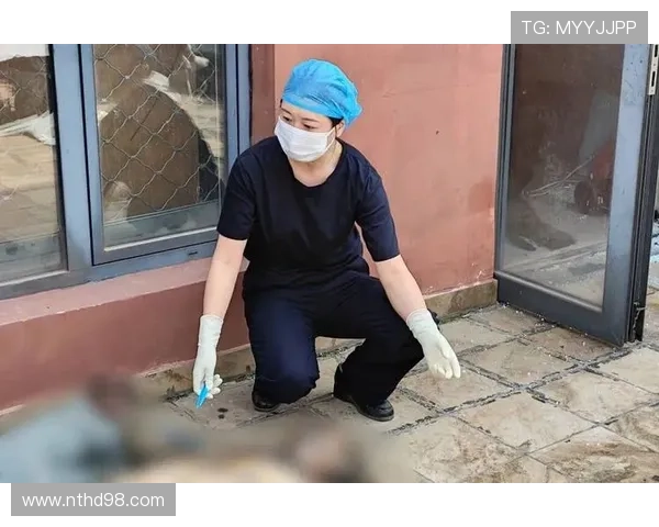 女检查官坚守法律信仰追寻真相卷入权力暗战揭开司法幕后迷雾 女检查官坚守法律信仰追寻真相卷入权力暗战揭开司法幕后迷雾