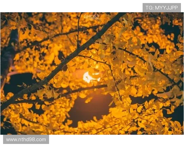 《智齿》:当欲望野蛮生长,我们该如何安放被撕裂的灵魂? 《智齿》:当欲望野蛮生长,我们该如何安放被撕裂的灵魂?